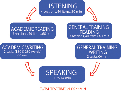 PTE Training in Chandigarh